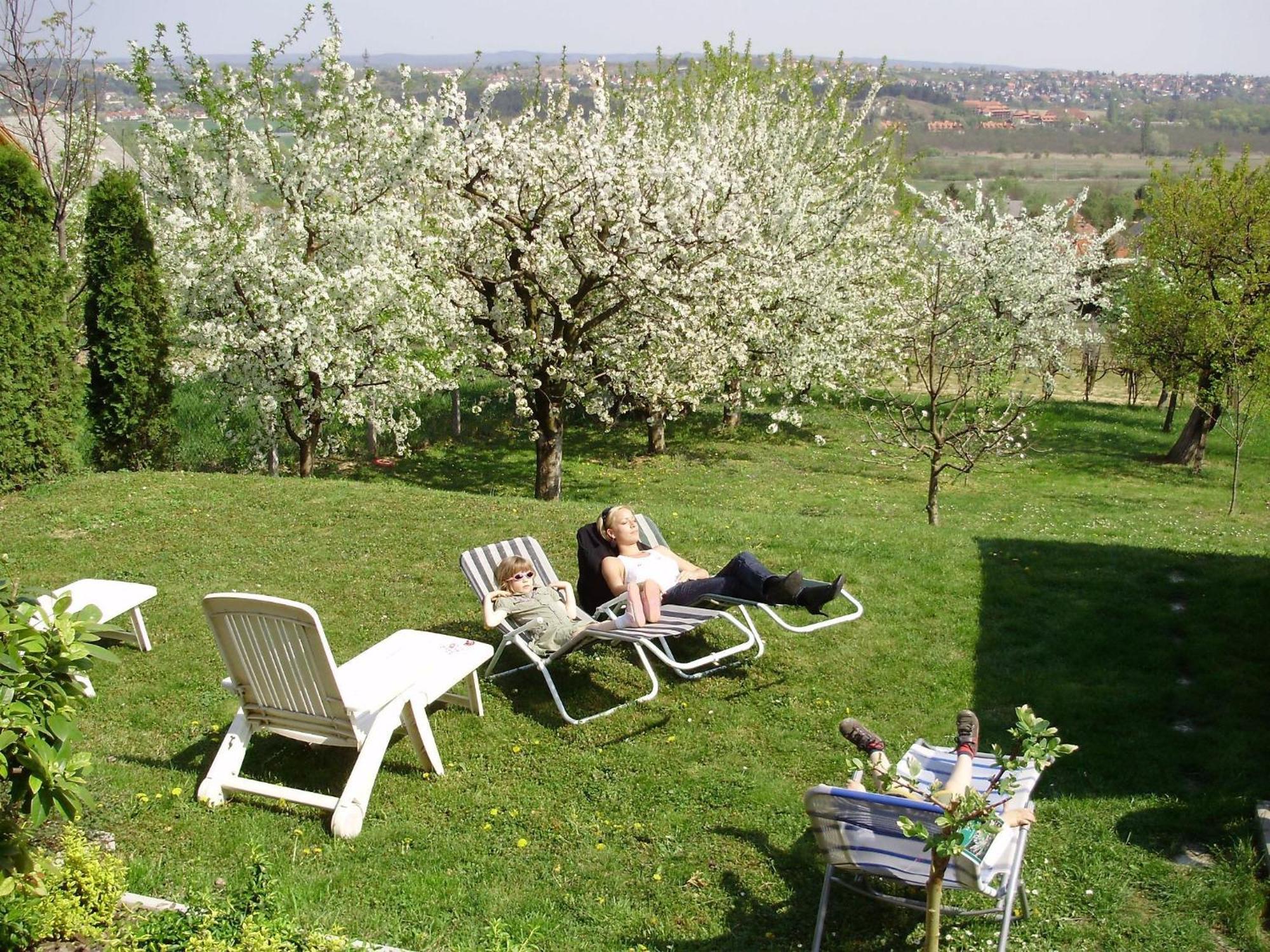 Apartman Berki Hévíz Buitenkant foto