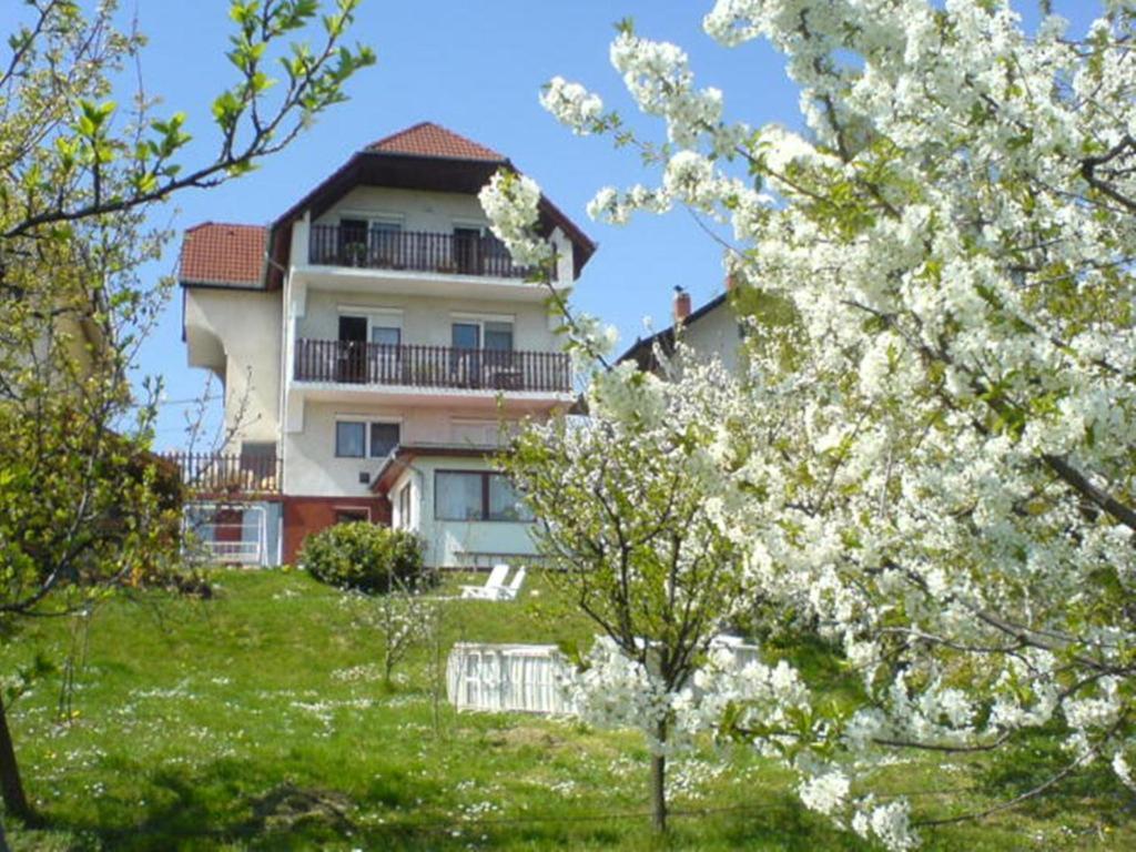 Apartman Berki Hévíz Buitenkant foto